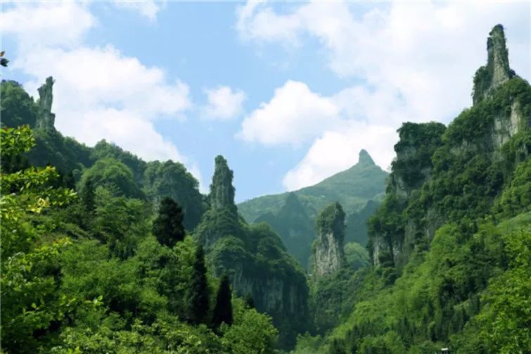 乐投letou